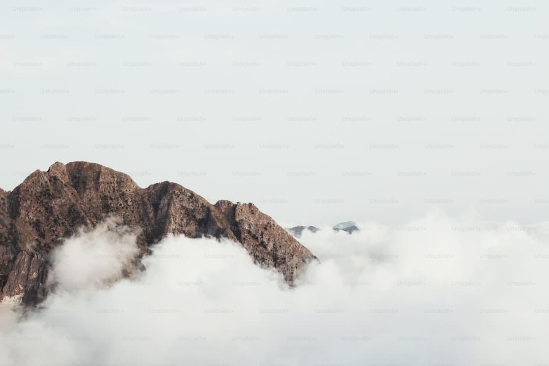 中报显示成绩向好 全年盈余有望逐季上行